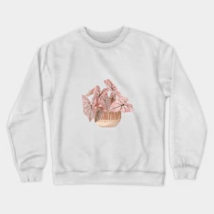 Pink Caladium Illustration, House Plants Crewneck Sweatshirt